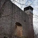 Geier Daire Hilders