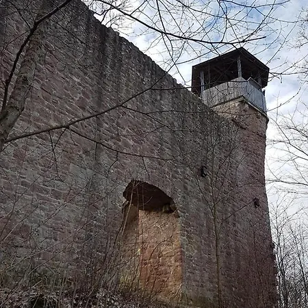 Geier Apartmán Hilders